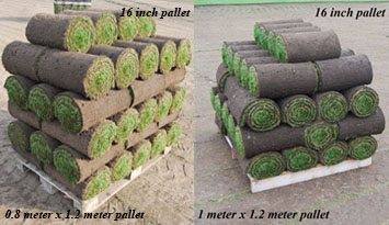 1 x 1.2 meter pallet