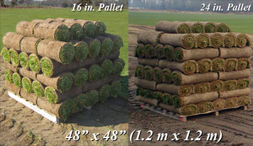 48 x 48 in pallet